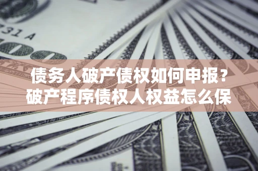 北京债务人破产债权如何申报？破产程序债权人权益怎么保障？