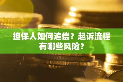 北京担保人如何追偿？起诉流程有哪些风险？