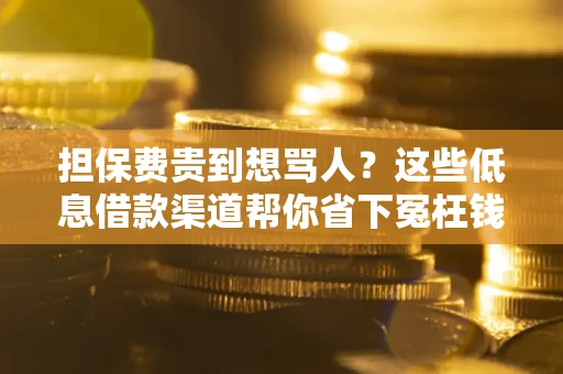 北京担保费贵到想骂人？这些低息借款渠道帮你省下冤枉钱