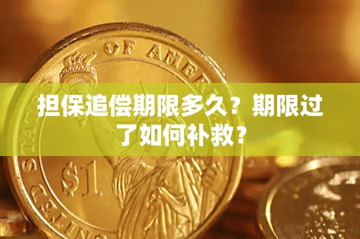 北京担保追偿期限多久？期限过了如何补救？