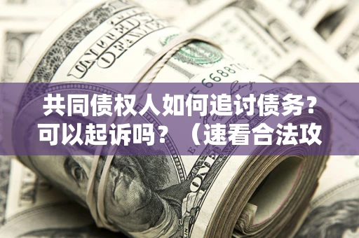 北京共同债权人如何追讨债务？可以起诉吗？（速看合法攻略）