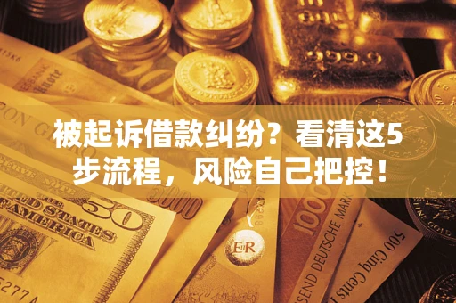 北京被起诉借款纠纷？看清这5步流程，风险自己把控！